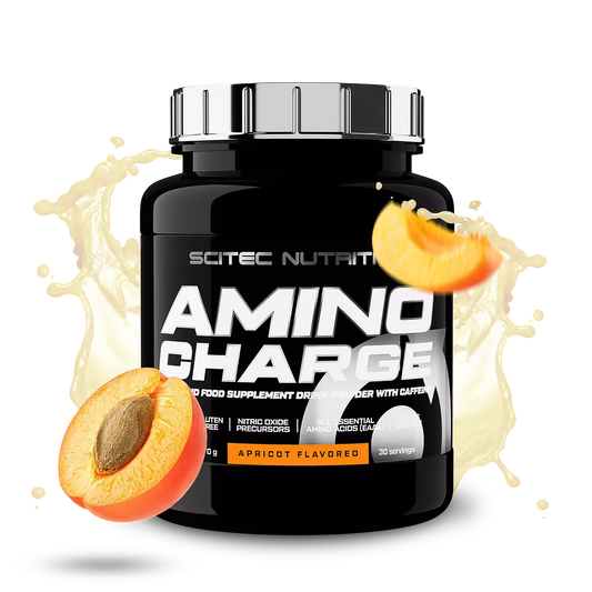 AMINO CHARGE (570g)