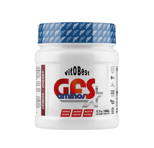 GFS AMINOS (500g)